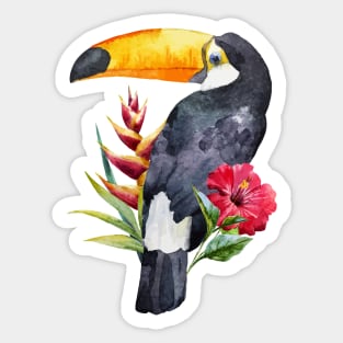 Watercolor Toucan Sticker